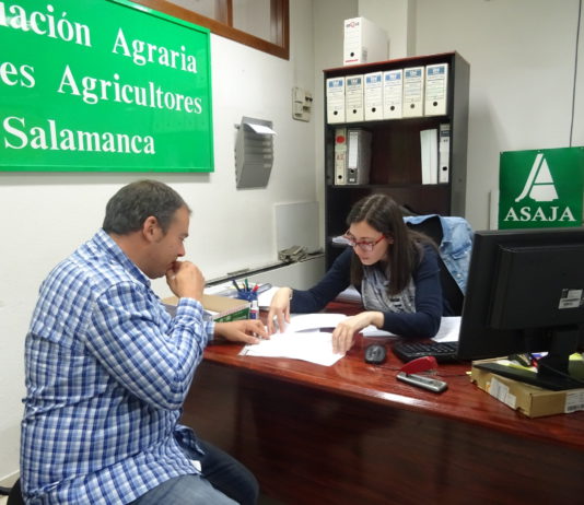 ASAJA Salamanca finaliza la campaña PAC con un 5’52% más de Solicitudes Únicas Técnicos de ASAJA Salamanca, durante la PAC. FOTO: ASAJA Salamanca