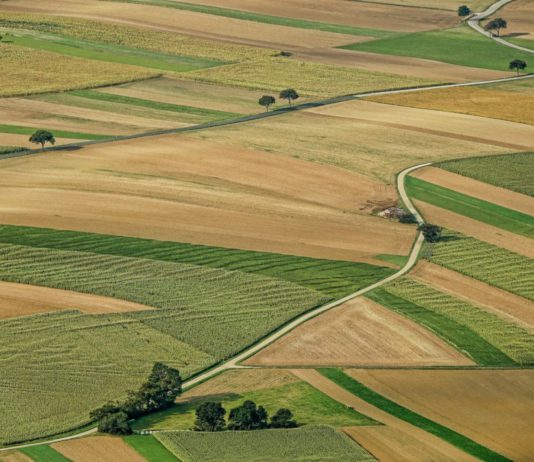 Hacienda ignora las peticiones del campo de Castilla y León en la reducción de módulos fiscales
