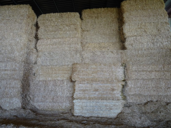 Pacas de paja. FOTO: Verónica G. Arroyo.