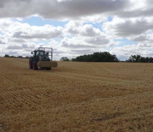 La cosecha de cereales de invierno sufrirá un severo recorte y no llegará a los 12’5 millones de toneladas Mujer agricultora, moviendo pacas en la provincia salmantina. FOTO: Verónica G. Arroyo