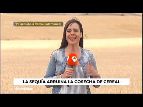 Salamanca, la más afectada de España por sequía (Informa Antena 3 televisión)