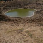 Publicadas las bases de ayudas a inversiones de abastecimiento de agua para el ganado en extensivo