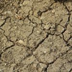 Establecidas las bases reguladoras de subvenciones de minimis para préstamos por sequía