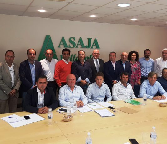 ASAJA pide a Carnero una legislatura con políticas que impulsen un campo más competitivo y rentable