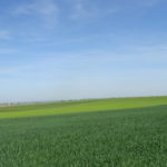 El FEGA publica el coeficiente provisional para determinar el importe del pago verde Campo en la provincia de Salamanca. FOTO: VGA