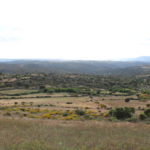 Destinados 3’7 millones de euros a obras para la infraestructura de la concentración parcelaria de Hinojosa de Duero