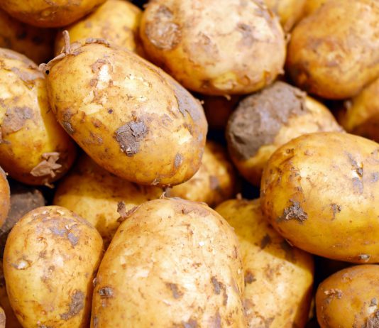 La UE prohibirá el uso del insecticida tiacloprid a partir del 30 de abril de 2020