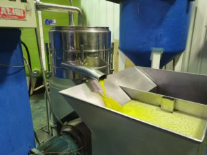 Almazara Campo San Roque, Villarino de los Aires, Salamanca. FOTO: VGA