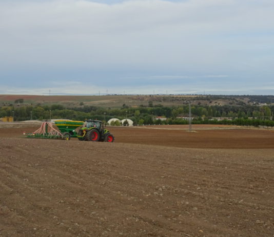 El alto índice de arrendamiento de tierras, una de las debilidades principales de la agricultura de Castilla y León
