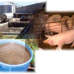 Nueva jornada sobre normativa y aplicación de purines el 13 de diciembre