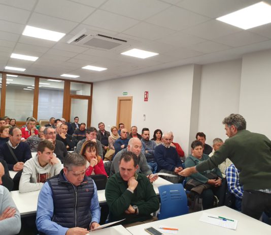 Nuevos cursos para el primer semestre de 2020