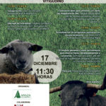 Vitigudino acogerá una jornada sobre gestión del módulo ganadero, inspecciones y sanidad en rumiantes