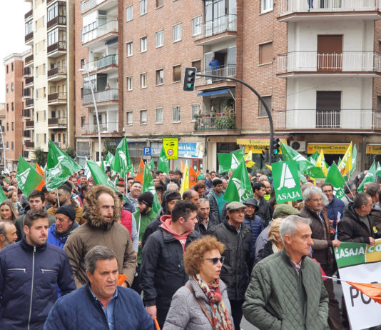 Unas 3.000 personas avalaron la manifestación en Salamanca