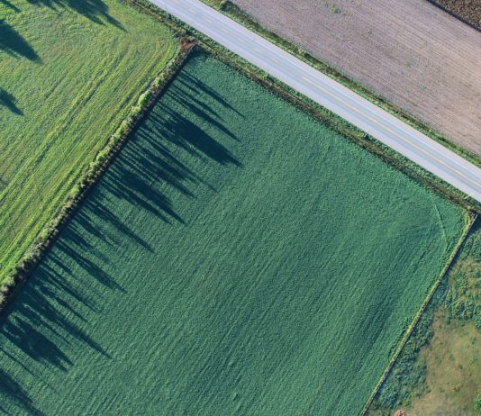 Abonados 4.116 millones de euros de las ayudas directas de la PAC