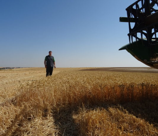 El FEGA concreta la asignación de derechos a la reserva nacional para recién incorporados Joven agricultor salmantino. FOTO: Verónica G. Arroyo