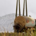 Permitida la aplicación de purín mediante platos o abanicos en 2020