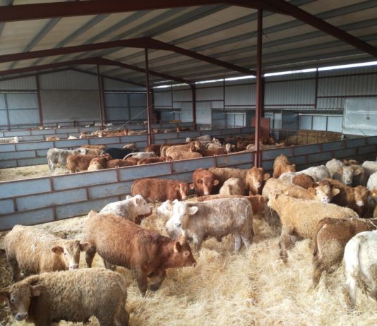 Lonja Agropecuaria de Salamanca del 10 de febrero de 2020