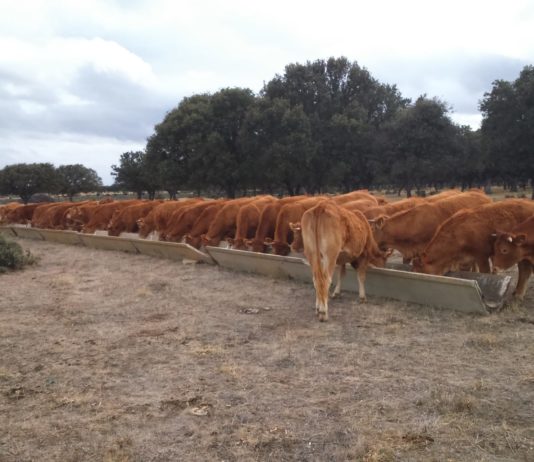 ASAJA Salamanca denuncia el abuso del sector comprador e industrial sobre el productor en la crisis del coronavirus