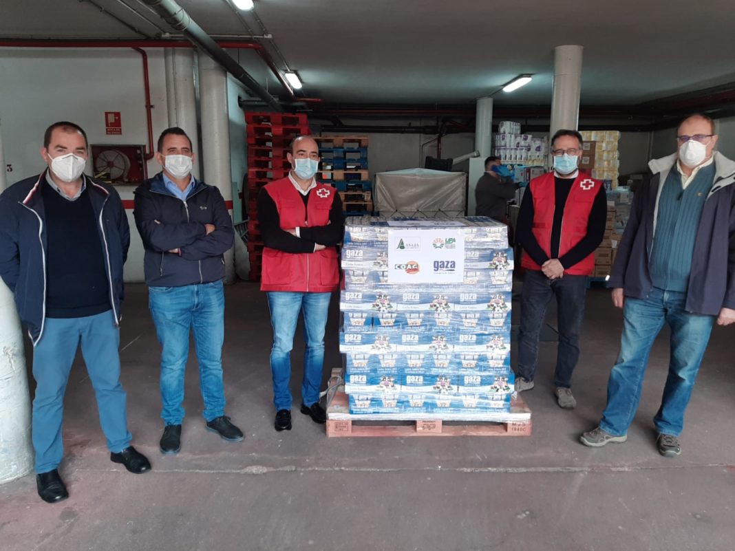 José Manuel Cortés, Juan Luis Delgado, miembros Cruz Roja y Carlos Sánchez José Manuel Cortés, Juan Luis Delgado, miembros Cruz Roja y Carlos Sánchez