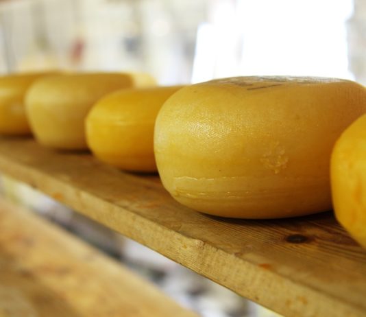 ASAJA considera “hipócrita” que la patronal láctea pida ahora que se consuma queso nacional cuando la industria compra leche de otros países
