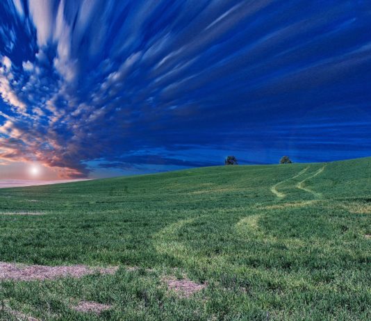 Nuevas ayudas para las explotaciones agrícolas y ganaderas afectadas por las inclemencias climáticas en 2019