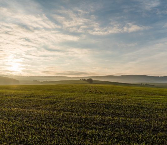 Autorizado el convenio entre Enesa y Agroseguro para la ejecución de los planes de seguros agrarios en el ejercicio 2020