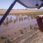 Autorizadas las obras para el drenaje del regadío de Arabayona