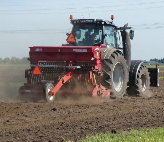 Aprobada la prórroga de las medidas urgentes para la contratación temporal de trabajadores