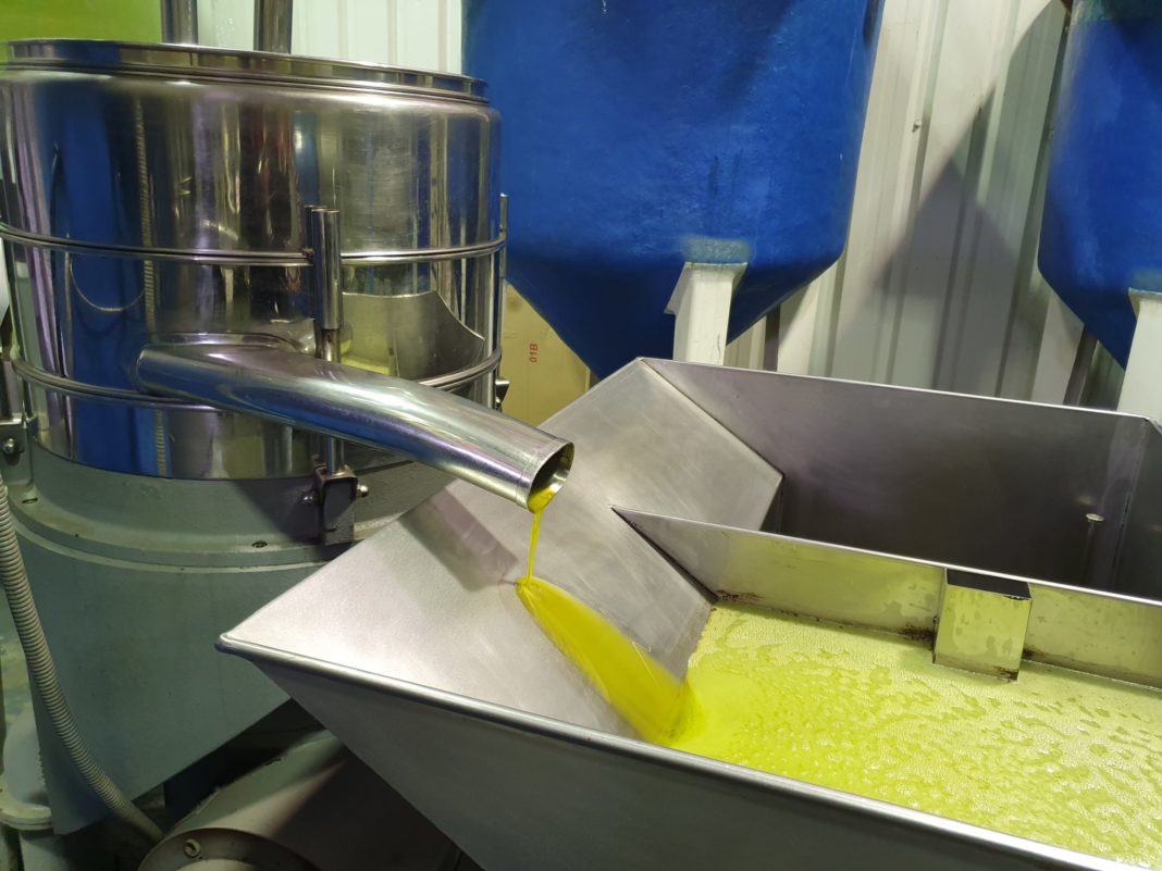 Aceite de una almazara, en la provincia de Salamanca. FOTO: VGA