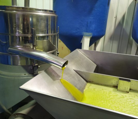 Luis Planas anuncia un paquete de medidas para asegurar la viabilidad y el futuro del sector del aceite de oliva Aceite de una almazara, en la provincia de Salamanca. FOTO: VGA