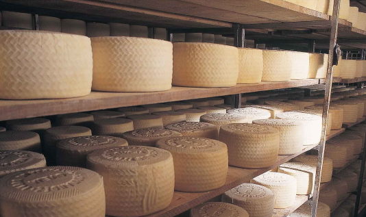 El queso, protagonista este mes en el calendario de la marca gastronómica TeGusta Salamanca