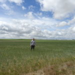 La Consejería de Agricultura convoca nuevas ayudas para jóvenes Un joven agricultor, en la provincia de Salamanca. FOTO: VGA