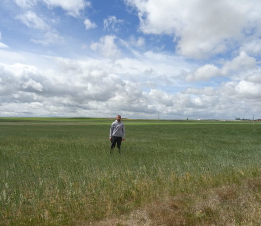 La Consejería de Agricultura convoca nuevas ayudas para jóvenes Un joven agricultor, en la provincia de Salamanca. FOTO: VGA
