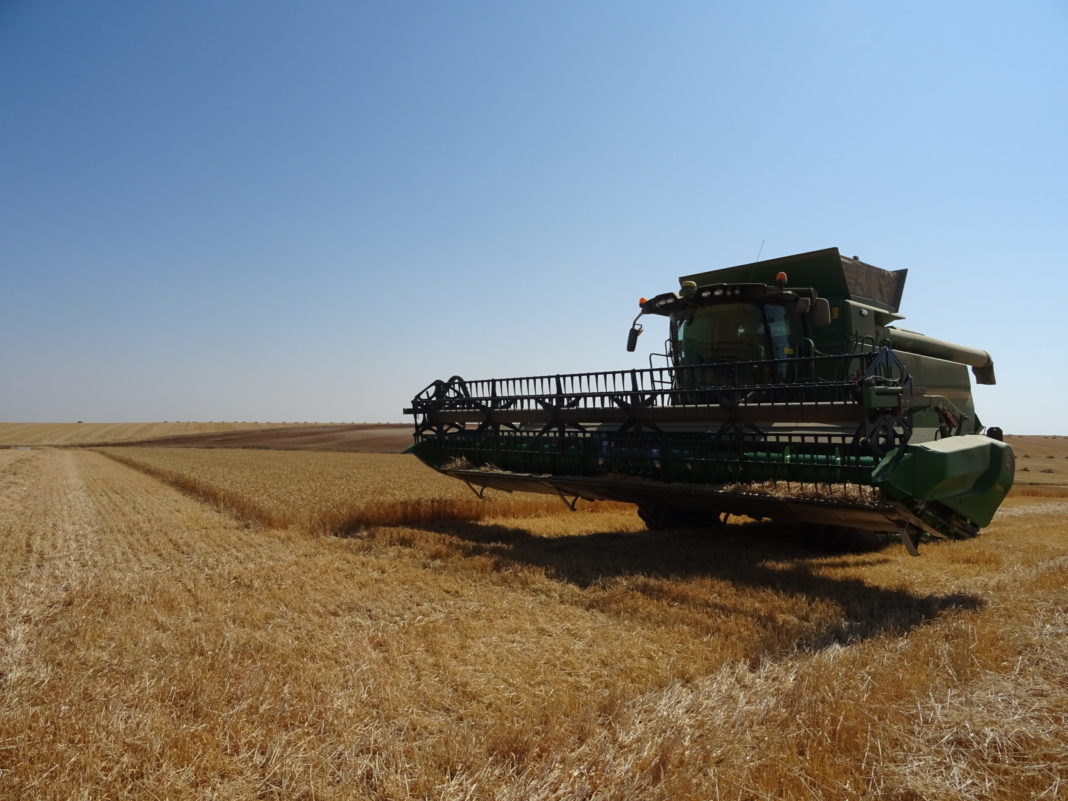 Labores de cosecha en Valdearros, Salamanca. FOTO: Verónica G. Arroyo Labores de cosecha en Valdearros, Salamanca. FOTO: Verónica G. Arroyo