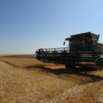 Comienza la época de alto riesgo de incendio Labores de cosecha en Valdearros, Salamanca. FOTO: Verónica G. Arroyo