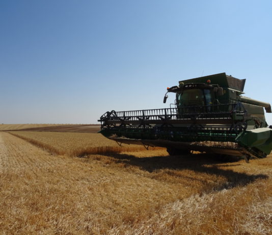 Comienza la época de alto riesgo de incendio Labores de cosecha en Valdearros, Salamanca. FOTO: Verónica G. Arroyo