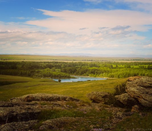 ASAJA cuestiona la ampliación de las zonas vulnerables y el peso que se atribuye al sector