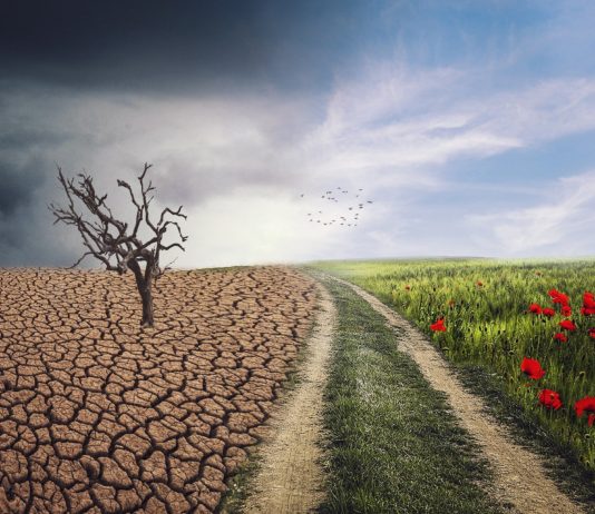 La Junta aprueba medidas contra el cambio climático