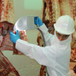 El Ministerio flexibiliza las disposiciones relativas a la clasificación de las canales de vacuno