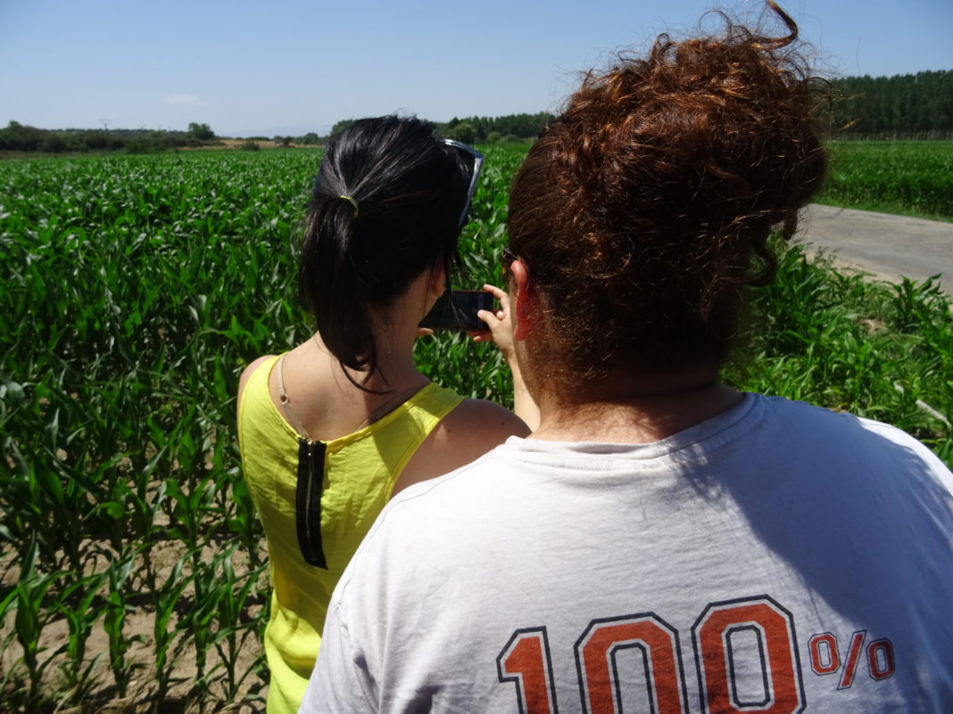 Dos mujeres jóvenes, en un campo de Salamanca.