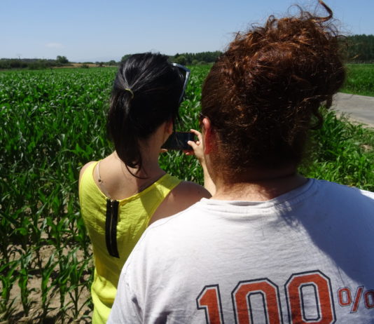 Recibidas 1.963 solicitudes de incorporación de jóvenes y modernización de explotaciones Dos mujeres jóvenes, en un campo de Salamanca.