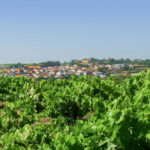 Se aprueba la composición de la Comisión Local de la concentración parcelaria de Masueco Vista de Masueco, Salamanca.