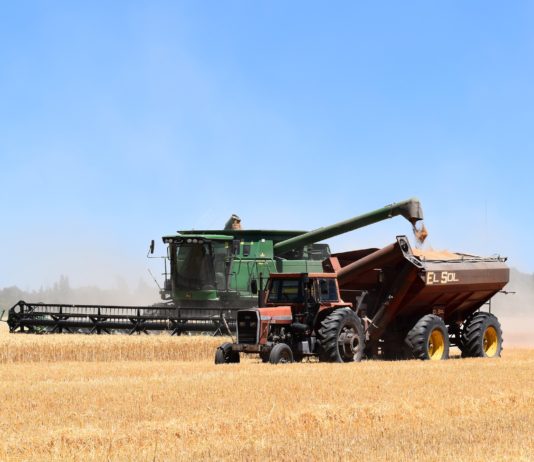 El mazazo a las ayudas de la PAC estrangulará especialmente al campo de Castilla y León