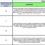 cuadro acciones RD AYUDAS IBERICO 200706