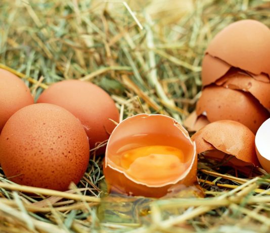 Informe favorable a la primera extensión de norma del sector del huevo y sus productos