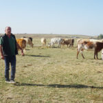 Comienza la tramitación del anteproyecto de ley de la cadena alimentaria para fortalecer la posición negociadora de agricultores y ganaderos Un ganadero, en la provincia de Salamanca. FOTO: Verónica G. Arroyo
