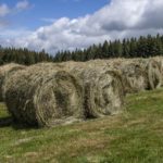 Homologado el contrato-tipo de compraventa de forrajes con destino a su transformación y comercialización