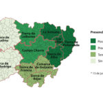 Evolución topillos en Salamanca. Gráfico: Verónica G. Arroyo