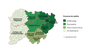 Evolución topillos en Salamanca. Gráfico: Verónica G. Arroyo