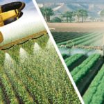 Nuevo curso de manipulador de plaguicidas